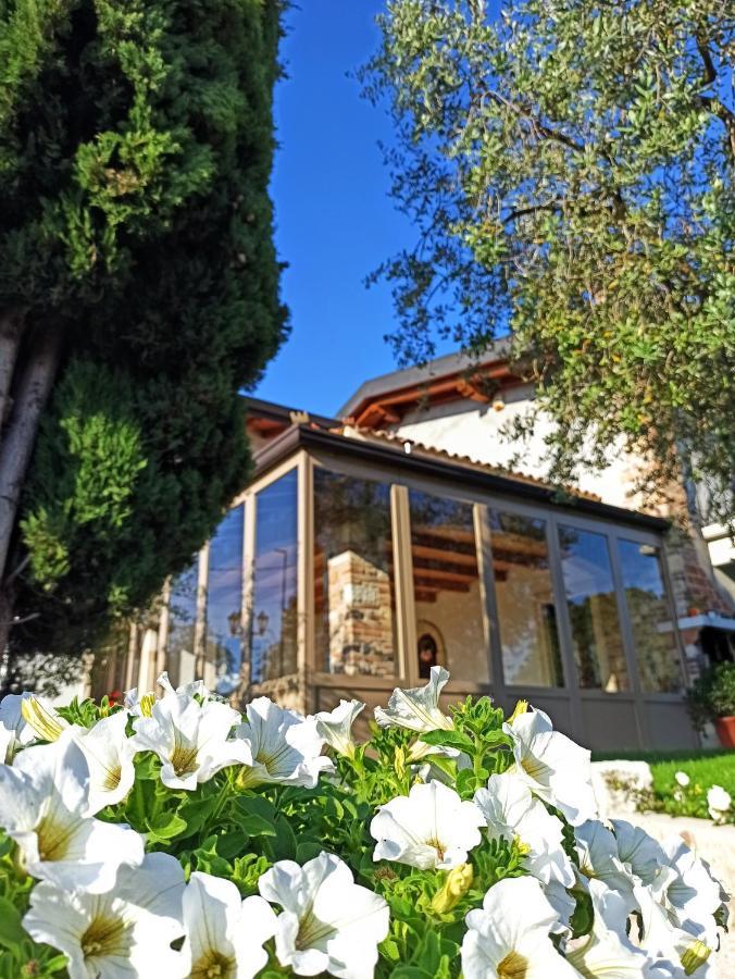 Le Zampolle B & B Cola  Екстер'єр фото